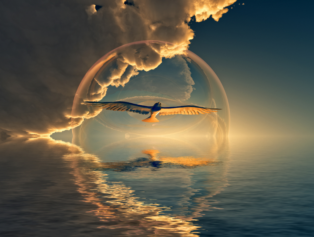 Sea Bird With Clouds and Sun Rays